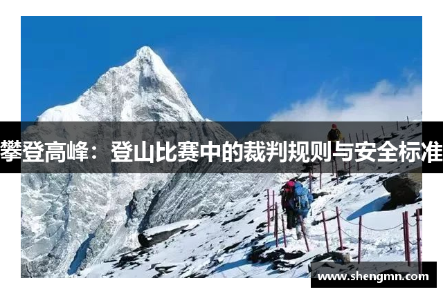 攀登高峰：登山比赛中的裁判规则与安全标准