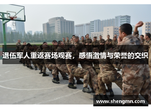 退伍军人重返赛场观赛，感悟激情与荣誉的交织