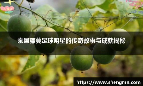 泰国藤蔓足球明星的传奇故事与成就揭秘